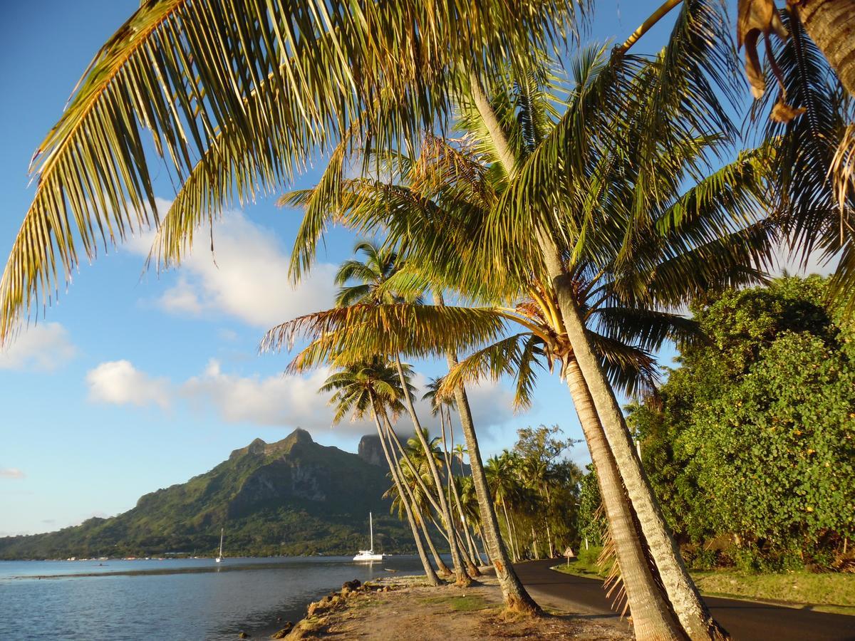 Village Temanuata Bora Bora Kültér fotó