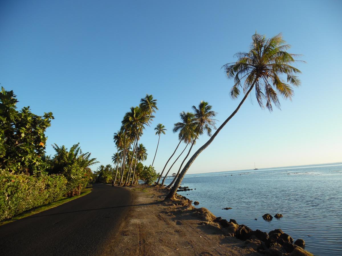 Village Temanuata Bora Bora Kültér fotó